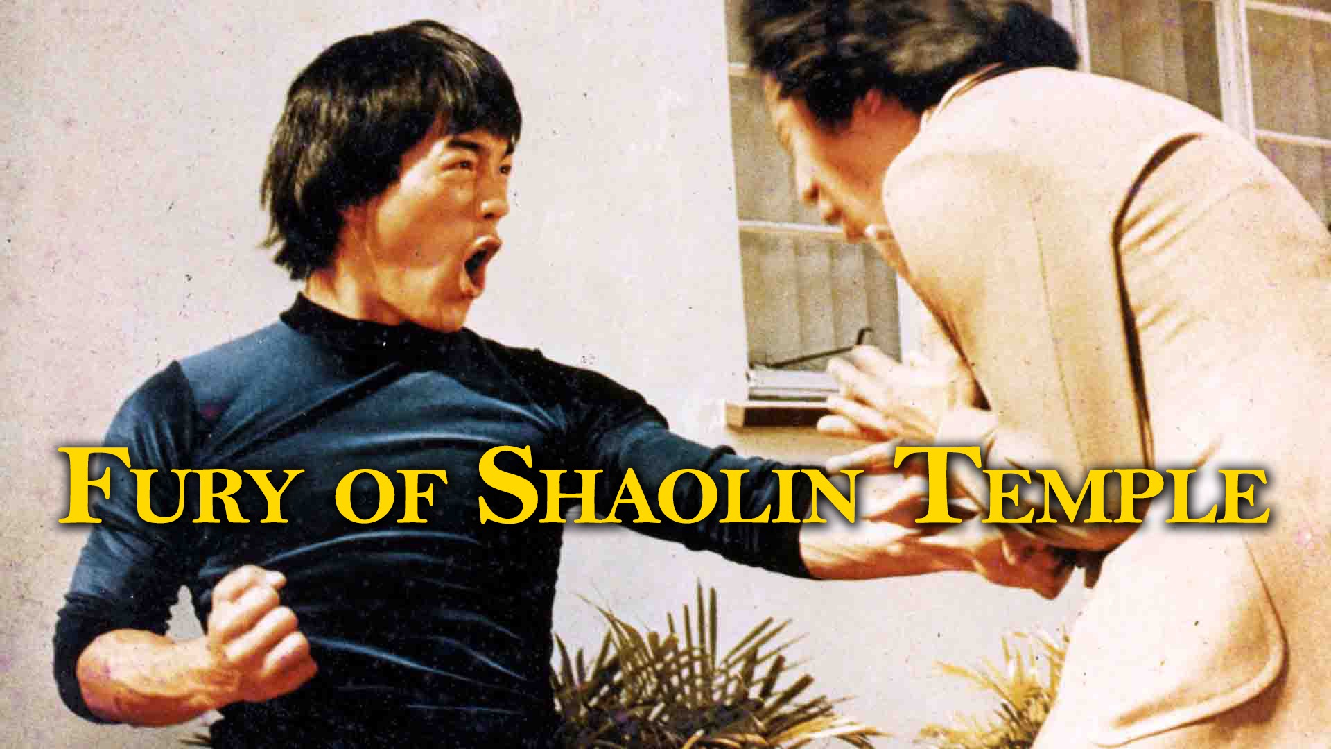 Fury of Shaolin Temple Poster